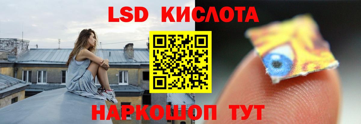 Лсд 25 экстази ecstasy  МЕГА как войти  Михайловка  LSD-25 экстази кислота  Вход с VPN 