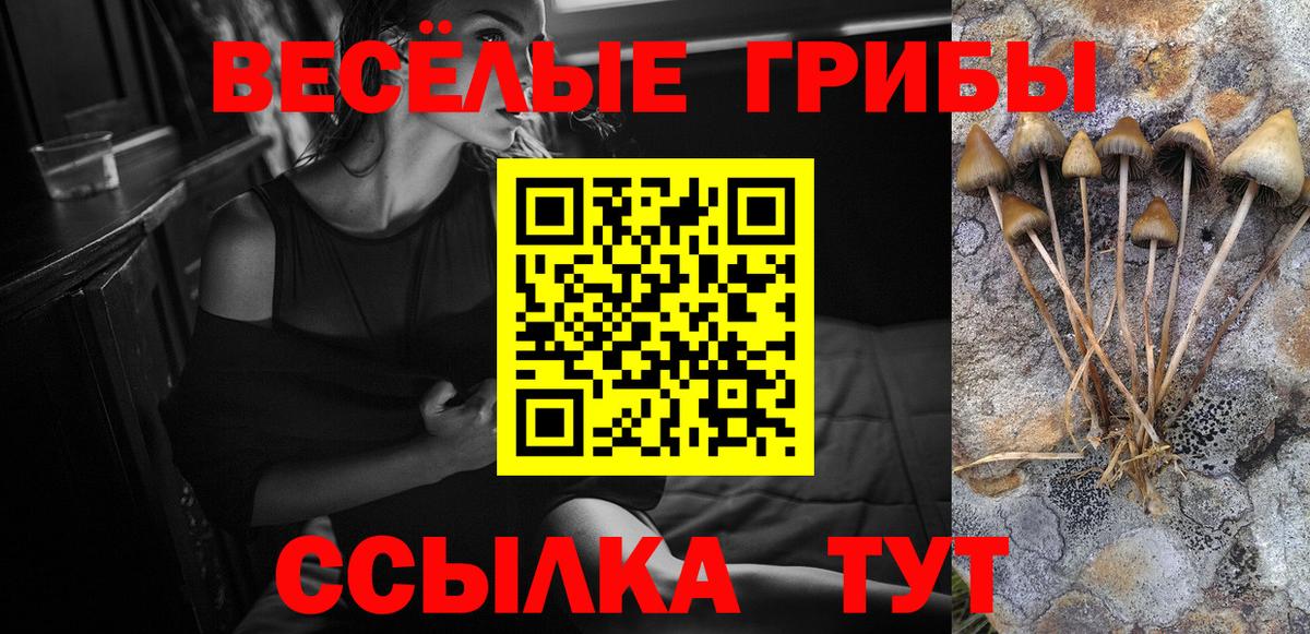 Псилоцибиновые грибы MAGIC MUSHROOMS  Вход с VPN  Михайловка 